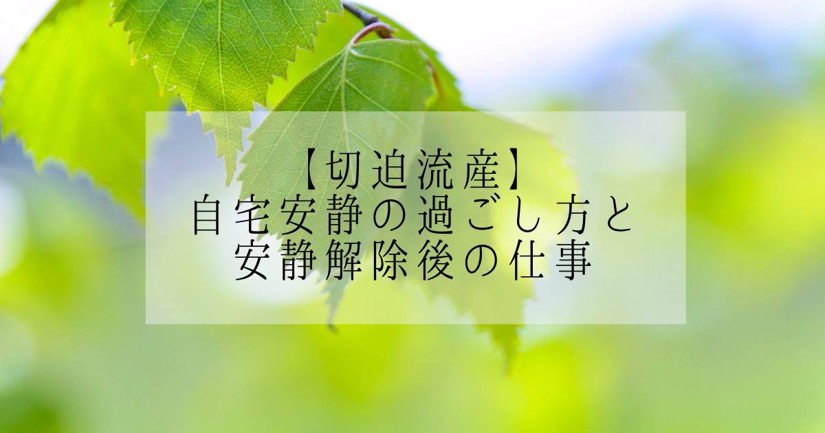 切迫流産 2ヶ月間自宅安静に 安静中の過ごし方と安静解除後の仕事について かおみいログ