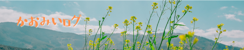 エコー写真のアルバムを手作り！無印とダイソーで手軽に可愛く  かお 